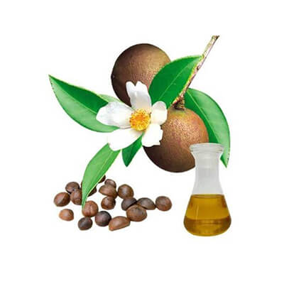 Camellia Seed Oil