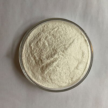 Psyllium husk powder as a health food raw material