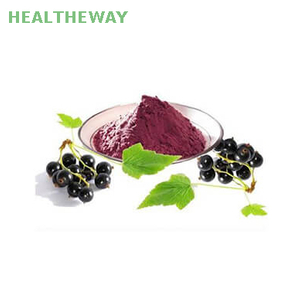 Blackcurrant Powder