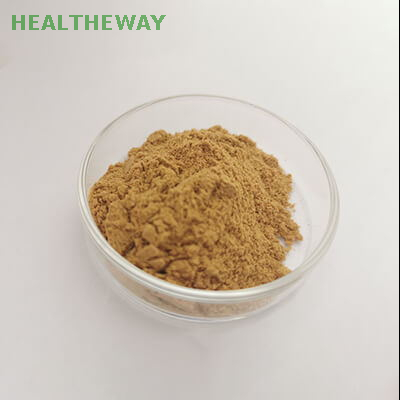 Green Tea Extract