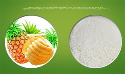Papain powder are widely applicated in life