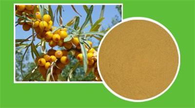  Fruit flavor into a new product development trend, sea buckthorn and blue fruit winter attention